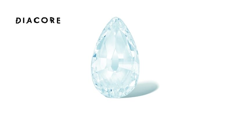 Nir Livnat - 55.50 carats